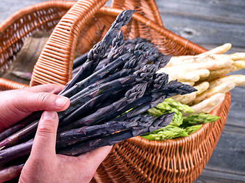 Weißer Spargel, Grüner Spargel, Violetter Spargel