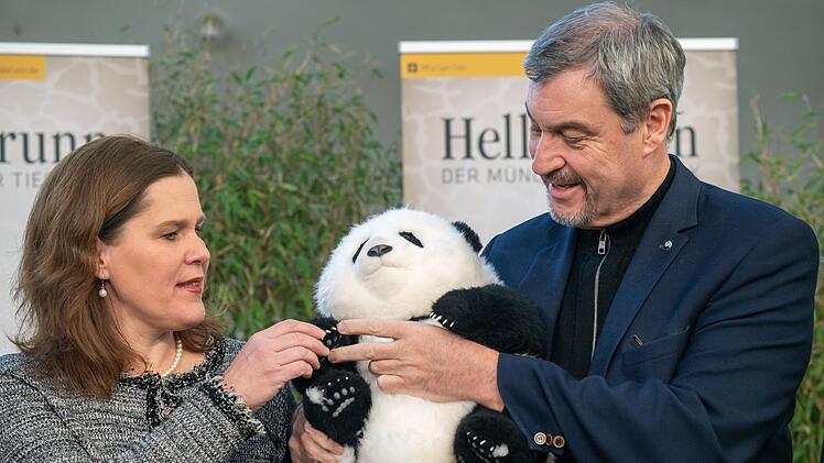 Panda-PK im Tierpark Hellabrunn