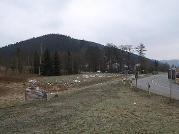 Am südliche Stadtrand von Wallenfels soll ein 5500 Quadratmeter großes Gewerbegebiet ausgewiesen werden. Dort wird sich ein Unternehmen aus der Gemeinde ansiedeln. Michael Wunder