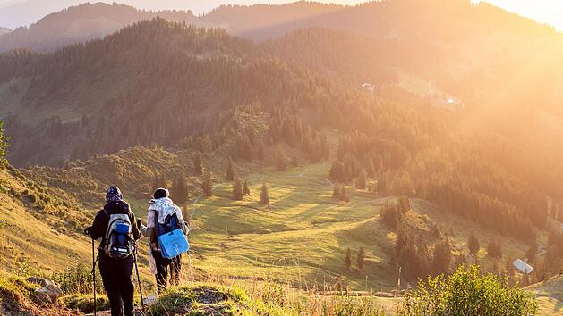 Der alpine S&uuml;den Deutschlands z&auml;hlt zu den beliebtesten Wander-Regionen Deutschlands. Nur im Harz werden h&auml;ufiger Wander-&Uuml;bernachtungen gebucht.