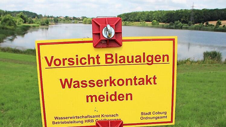 Am Goldbergsee haben sich wieder Blaualgen gebildet. Kontakt mit dem Wasser sollte deshalb vermieden werden.