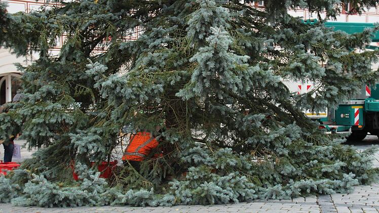 Foto: Niklas Schmitt