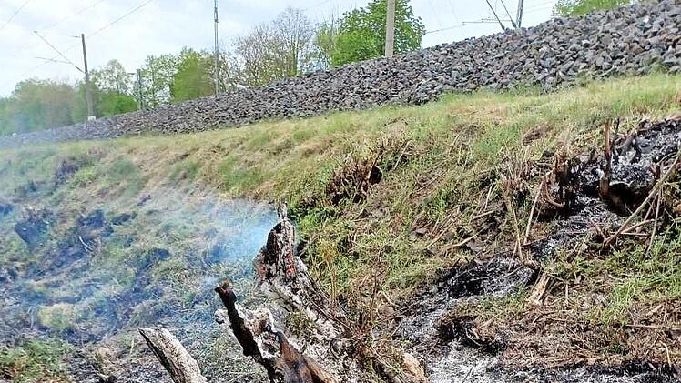 Zwei Baumstümpfe standen mit einer Grasfläche in Flammen.