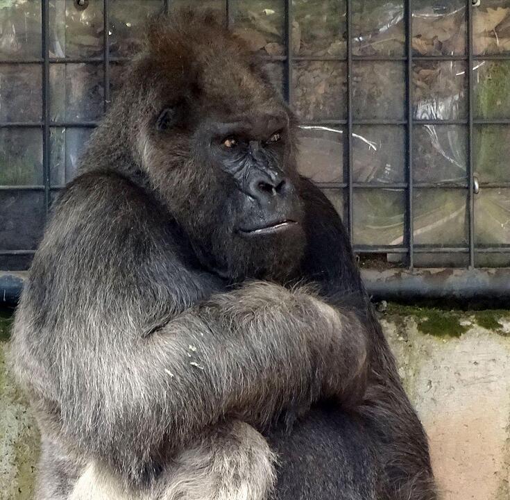 Tiergarten Nürnberg