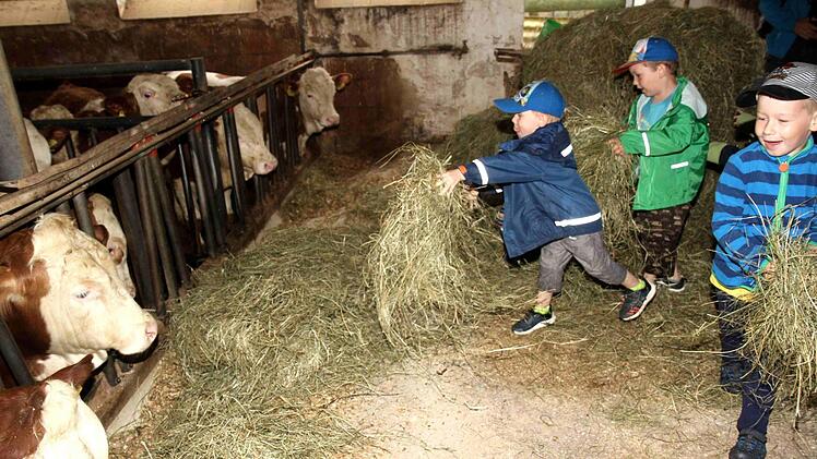 Foto: Richard Sänger