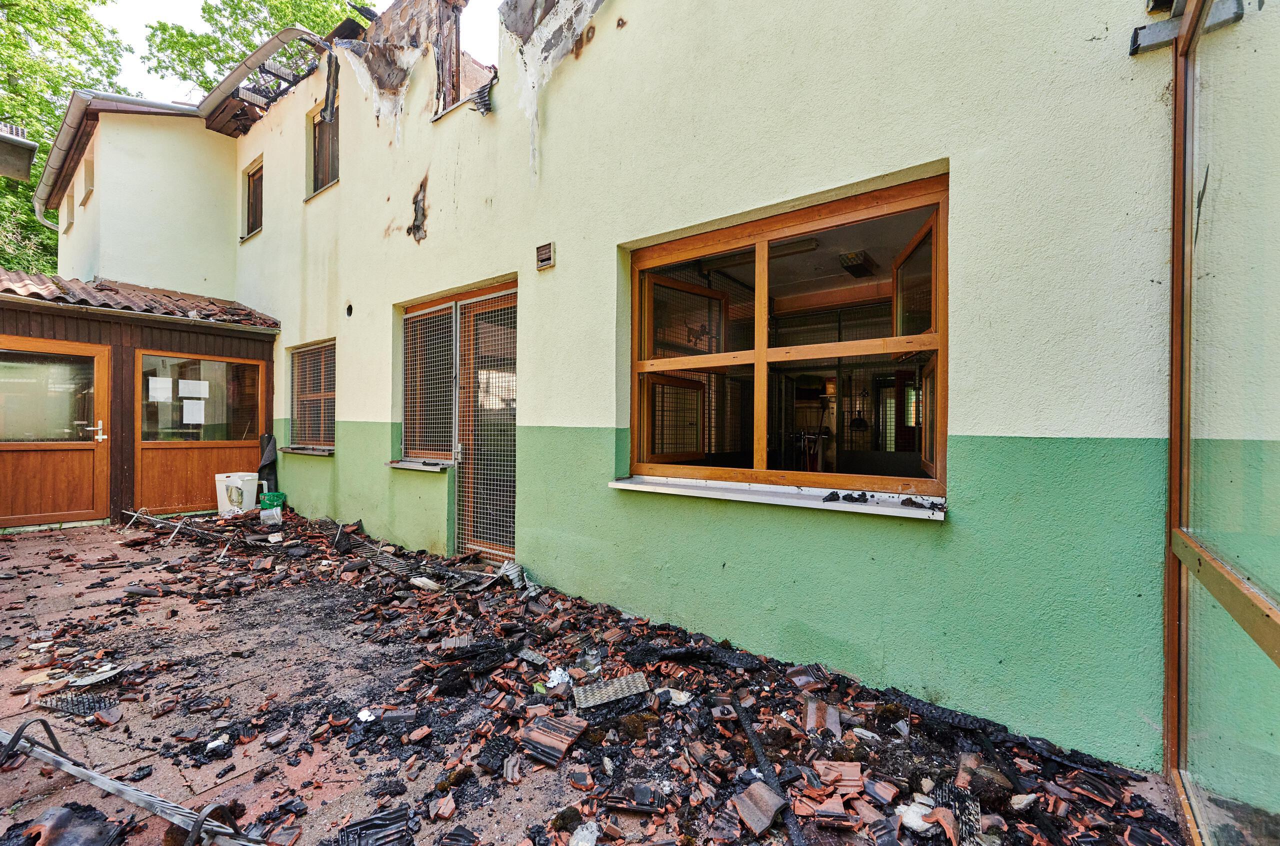 sanierung kommt fur boehm nicht infrage