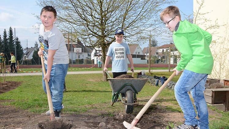 Impressionen vom Obstbaum-Pflanztag an der Grundschule Melkendorf  Foto: Dagmar Besand