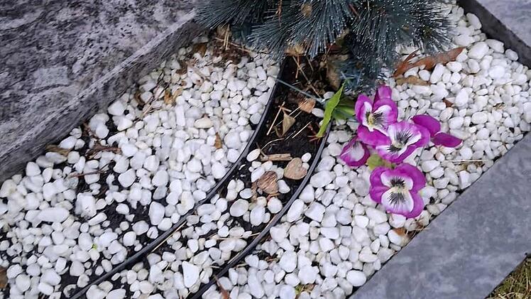 Bischberg: Angehörige entsetzt über Friedhofsvorfälle - "geschändet"