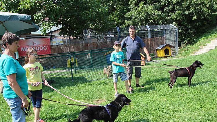 Luitgard und Josef Wehner führen die Hunde Tami und Lara aus.