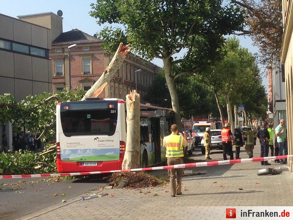 Baum stürzt in Bamberg auf Stadtbus
