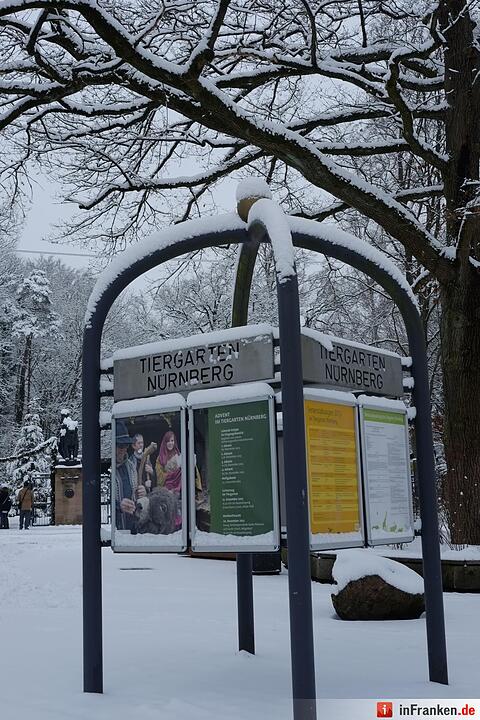Winter im Tiergarten Nürnberg