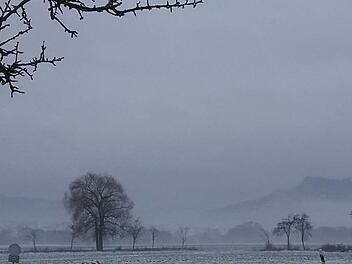 Dieses Bild wurde vor einer Woche in der Region Forchheim aufgenommen. Foto: inFrankenPix-Nutzerin Elisabethvorstoffel