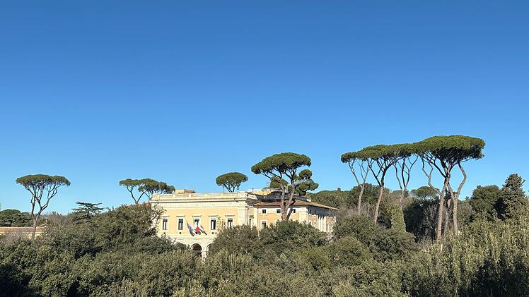 Pinienb&auml;ume in Rom