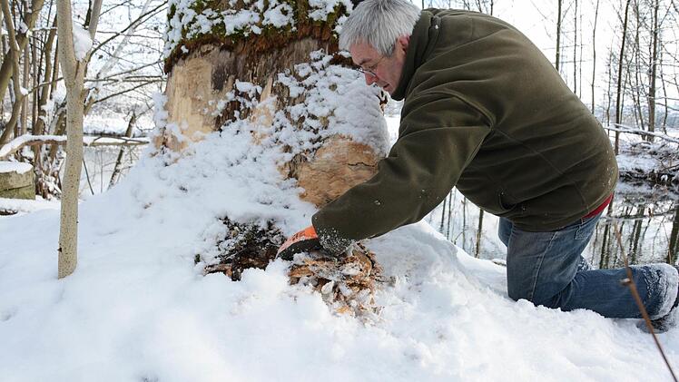 Auf Biber-Spurensuche am Weißen Main bei Burghaig. Foto: Dagmar Besand