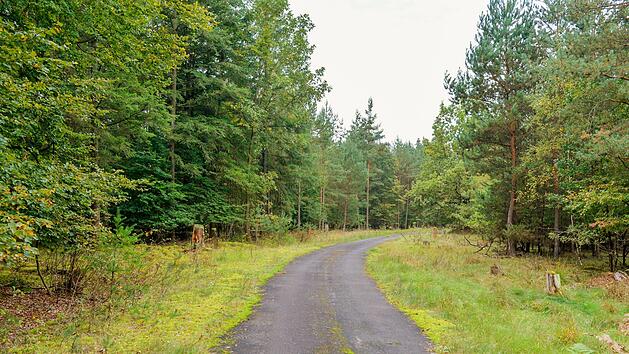 Was wird aus der "Muna" in Bamberg?     Die "Null-L&ouml;sung"  oder ein 46 Hektar gro&szlig;er Gewerbepark stehen zur Abstimmung.  Ronald Rinklef