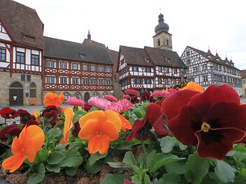 Soll sich Forchheim erneut für eine Landesgartenschau bewerben? Im Forchheimer Stadtrat kam es erneut zur Diskussion. Symbolfoto: Josef Hofbauer
