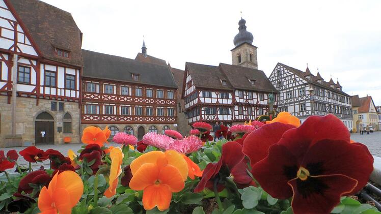 Soll sich Forchheim erneut für eine Landesgartenschau bewerben? Im Forchheimer Stadtrat kam es erneut zur Diskussion. Symbolfoto: Josef Hofbauer