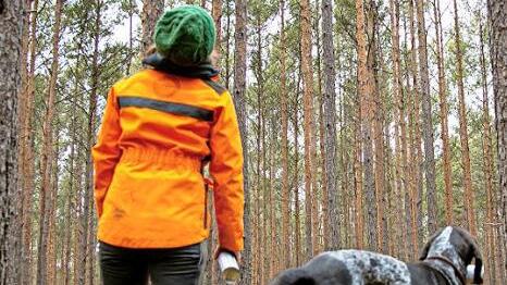 D&uuml;rre, Hitze und St&uuml;rme setzen dem Wald zu. Die IG Bau fordert mehr Forstpersonal, um den klimagerechten Umbau heimischer W&auml;lder voranzubringen. Foto: IG Bau