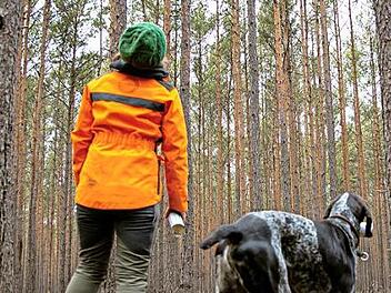 Dürre, Hitze und Stürme setzen dem Wald zu. Die IG Bau fordert mehr Forstpersonal, um den klimagerechten Umbau heimischer Wälder voranzubringen. Foto: IG Bau