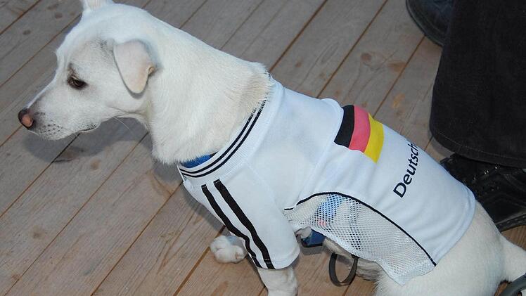 Der Hund scheint vom Spiel nicht sehr begeistert.