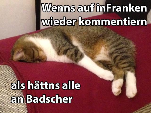 29 fränkische Katzen, die dich verstehen