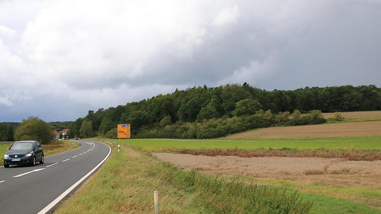 Das Getreide konnte in diesem Bereich noch nicht abgemäht werden. Die Wiese ist zu feucht.Heike Beudert