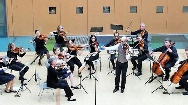 Das Kammerorchester Kronach lädt zum Saisonabschluss ein. Foto: pr