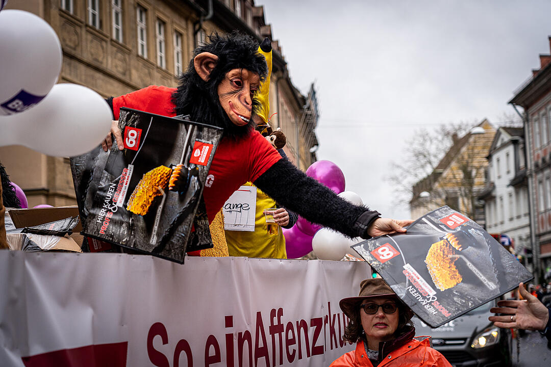 25.02.2020 Bamberg - Faschingsumzug