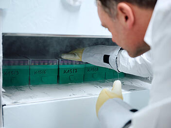 Spuren eines Weichmachers im Urin nachgewiesen