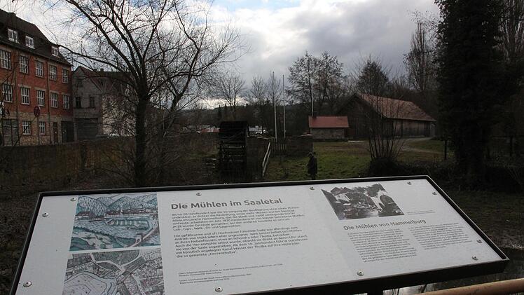 Unter dem Motto "Angeschwemmt" wird es von 30. Juli bis 11. September im Museum, aber auch auf der Museumsinsel eine Kunstausstellung geben. Foto: Kerstin V&auml;th