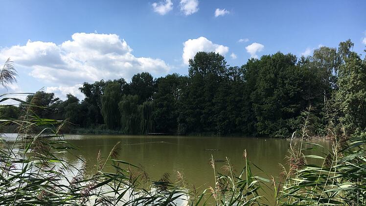 Malerischer  PfaffenweiherFoto: Schreiber