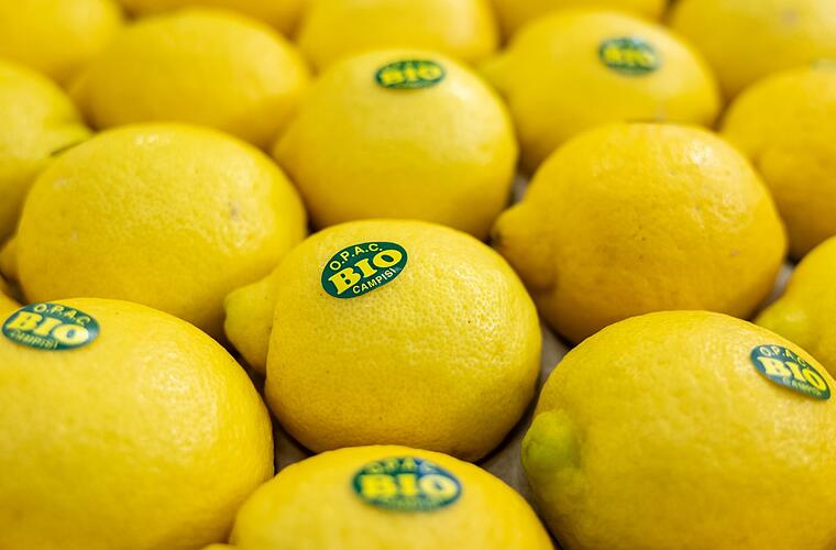 Nachfrage nach Bioprodukten boomt - Anbau kommt nicht nach