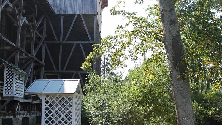 Dieser Baum am Gradierwerk ist ein Sicherheitsrisiko und muss gefällt werden. Foto: Mäuser