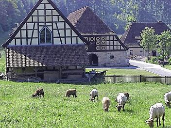 Ein Bild aus vergangenen Tagen der Alten Schäferei. Die neue Museumsleiterin möchte im Sommer wieder Schafe am Museum haben.
