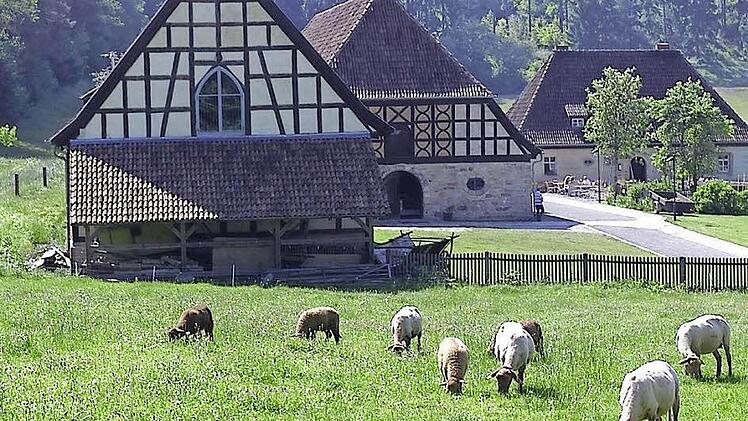 Ein Bild aus vergangenen Tagen der Alten Schäferei. Die neue Museumsleiterin möchte im Sommer wieder Schafe am Museum haben.