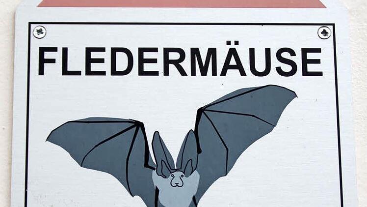 Fledermäuse willkommen! Dieses kleine unscheinbare Schild prangt am linken Seiteneingang der Kilianskirche. Foto: Thomas Hümmer