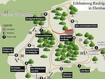 Wegweiser durch die Riedelgrube. Grafik: Franziska Schäfer/Quelle: Erlebnisweg Riedelgrube