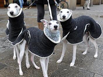 KINA - Ein schicker Mantel für den Hund