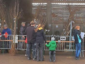 Am „Baumlager" wurden die Bäume an die Bürger ausgegeben.