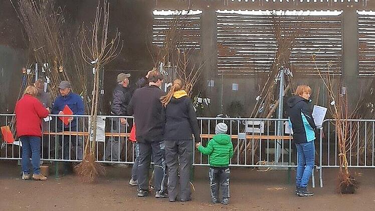 Am „Baumlager" wurden die Bäume an die Bürger ausgegeben.