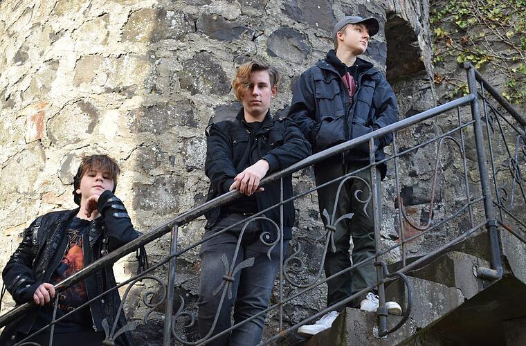 Nach Flammen-Inferno im Tierheim Münnerstadt: "The Voice Kids"-Stars geben Spendenkonzert zum Wiederaufbau - Vimarsana News