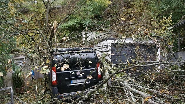 Am alten Haus Waldenfels krachte Geäst auf zwei Autos und begrub eines davon unter sich.  Foto: Steffen Standke