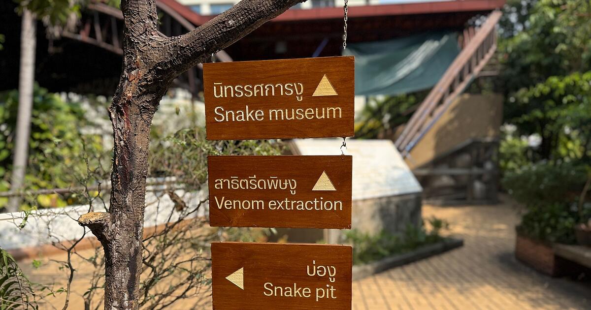 Bangkoks-historische-Snake-Farm-Wo-Kobras-gemolken-werden
