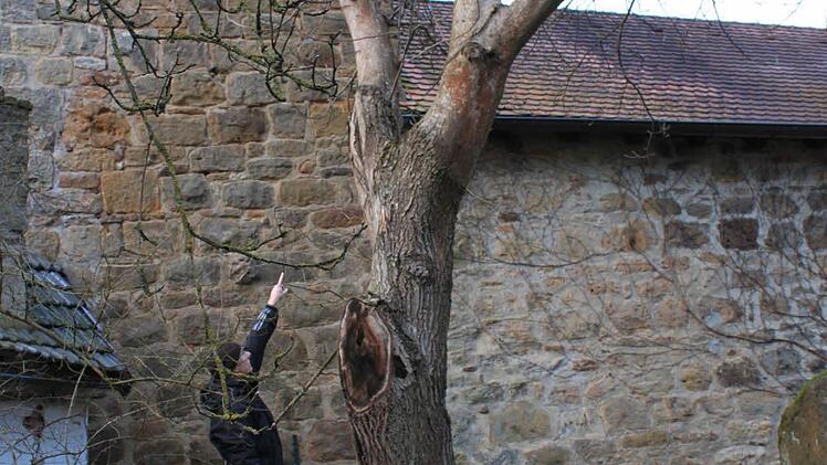 Foto: Katharina Becht