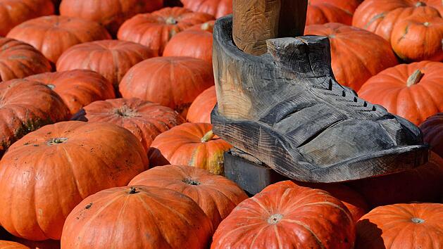 Symbolbild: Ralf Hirschberger/dpa