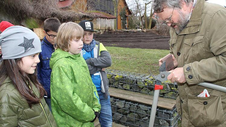Obstbäume schneiden mit Kreisfachberater Friedhelm Haun Foto: Anna-Lena Deuerling