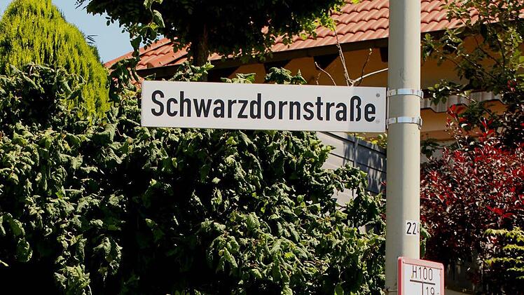 Andere heißen Schwarzdorn...