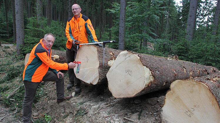 Bruno Fischer (links) und sein Nachfolger Matthias Lindig beim Vermessen von starken Erdstammstücken  Foto: Friedwald Schedel