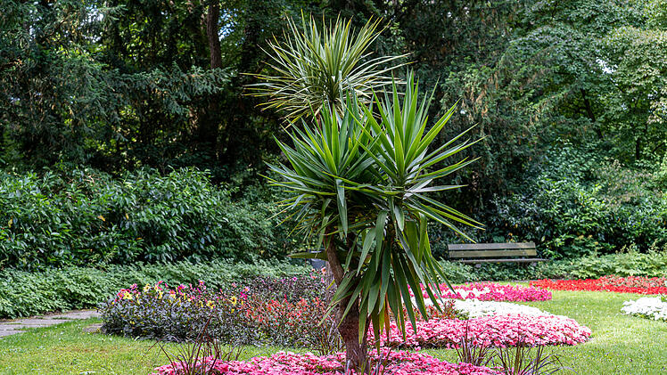 Einer der &auml;ltesten B&uuml;rgerparks in Bayern