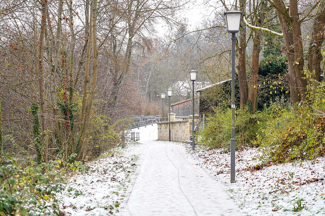 Bamberg im Winter